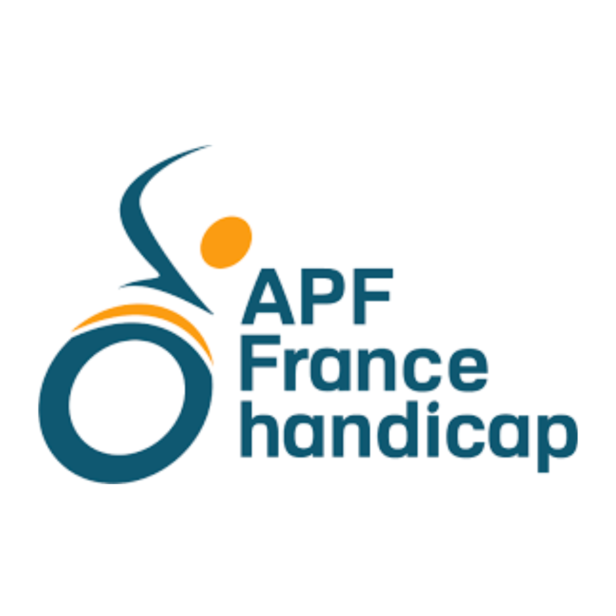 APF France Handicap