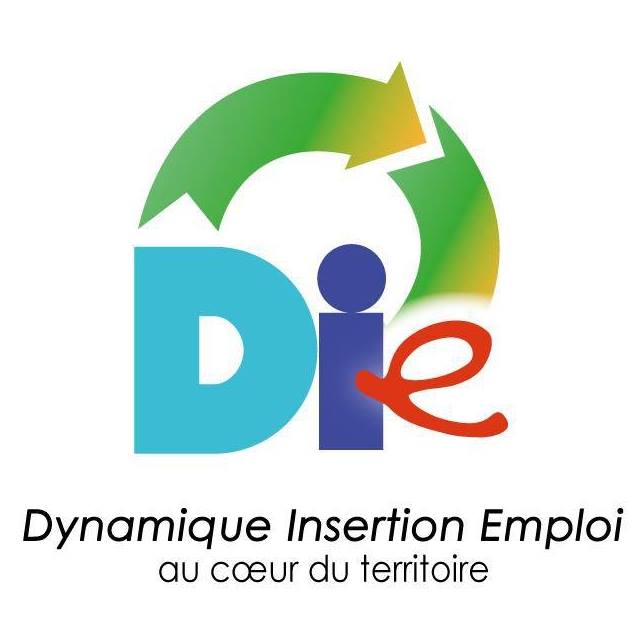 Dynamique Insertion Emploi