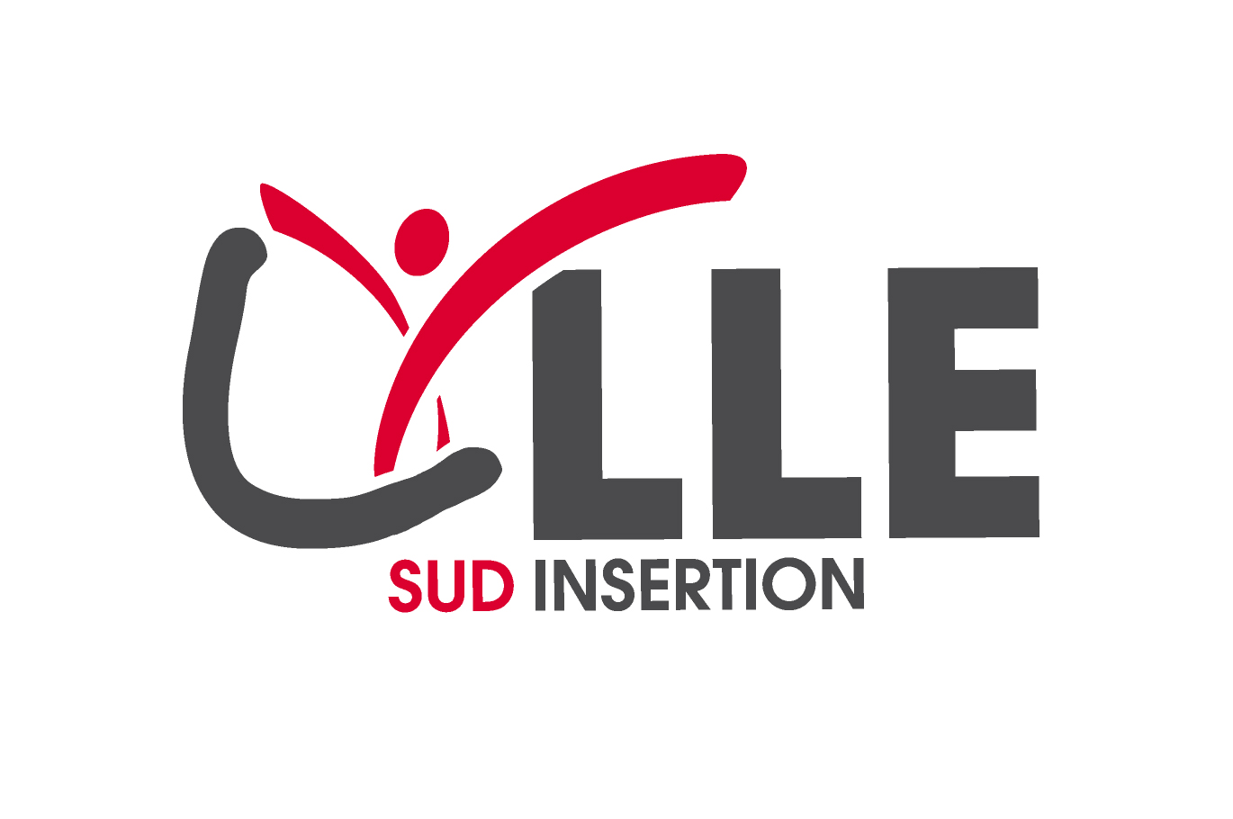 Lille Sud Insertion