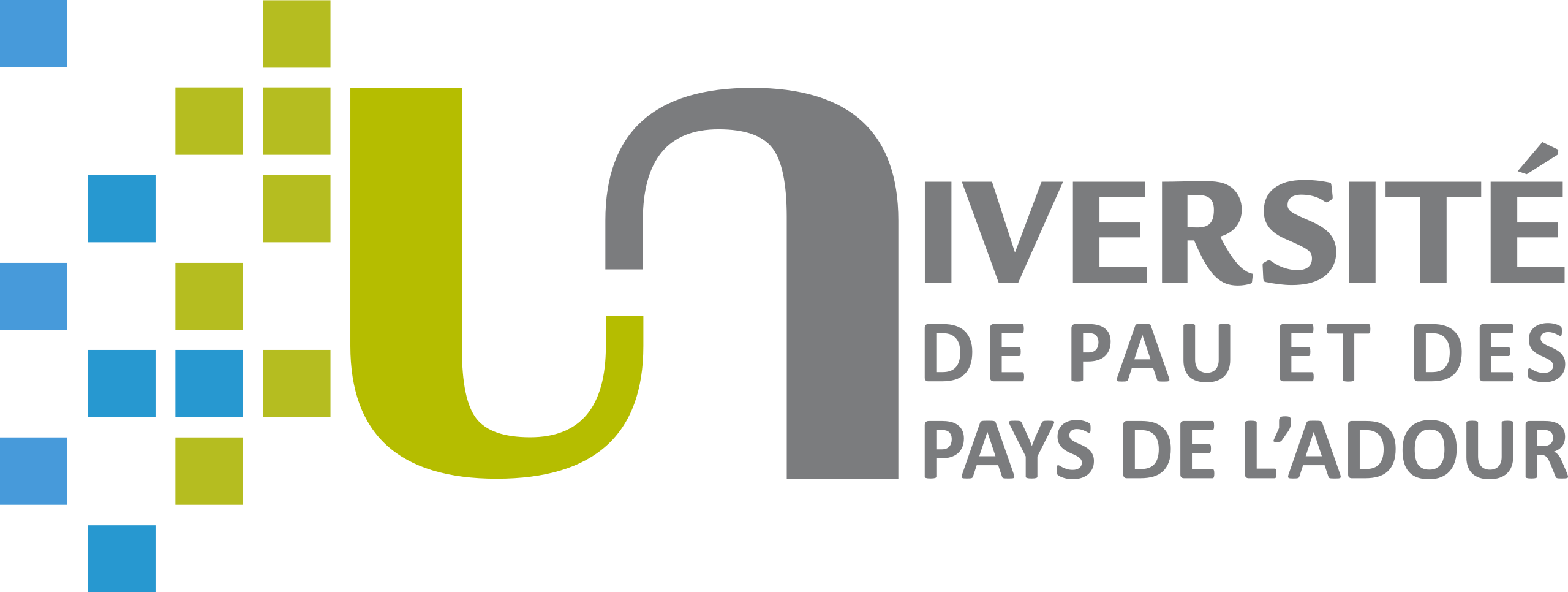 Université de Pau et des Pays de l'Adour (UPPA)