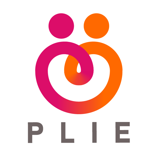 Plan Local pour l'Insertion et l'Emploi